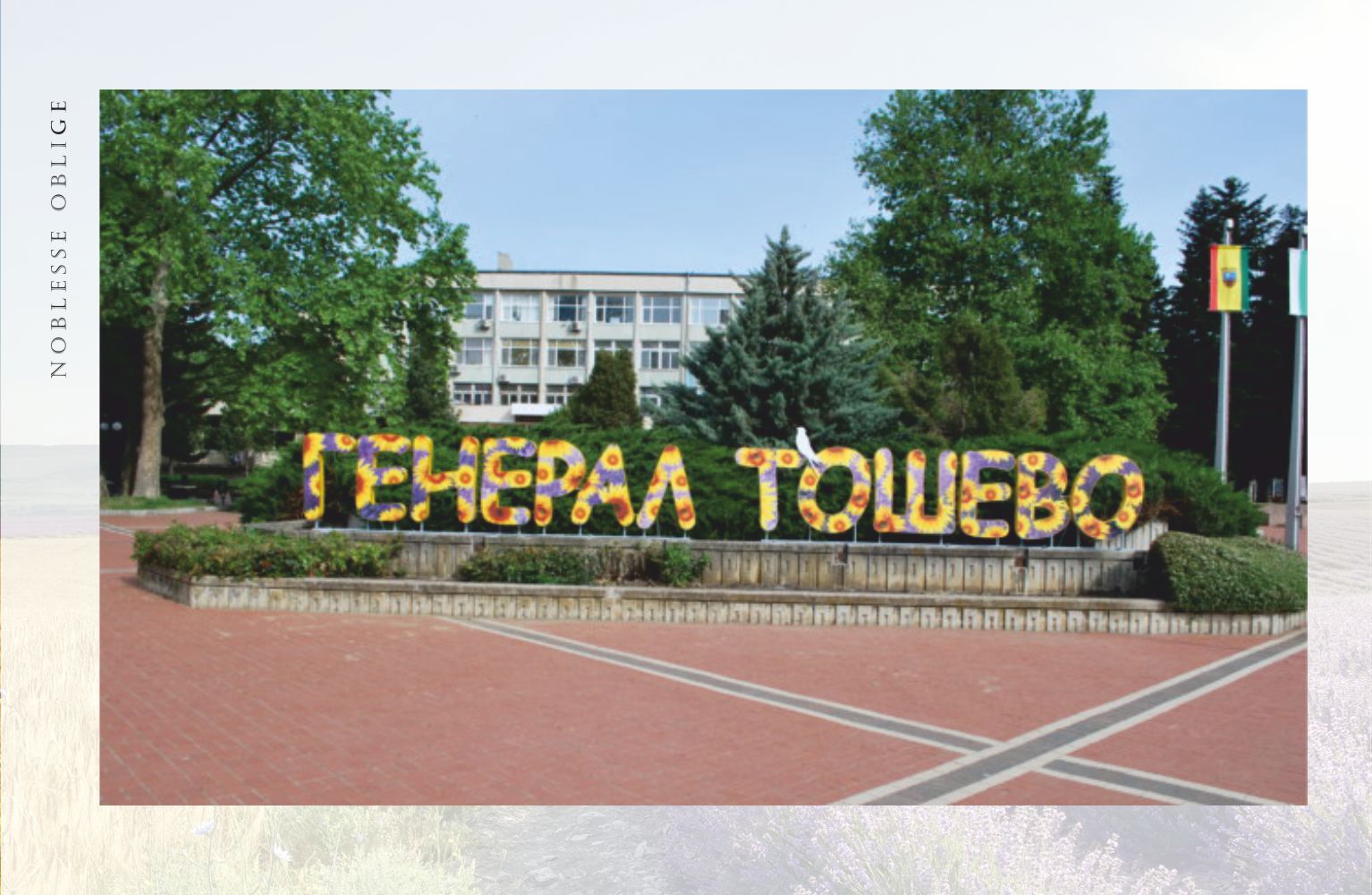 Генерал Тошево – 10-та по големина община в България