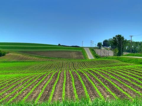 ЕК посочва пътя за справедлива и устойчива политика в земеделието
