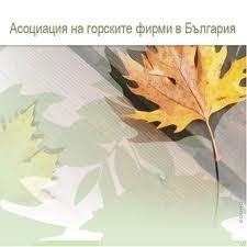 Асоциацията на горските фирми обсъди промените в Закона за горите със зам.-министър Валентина Маринова